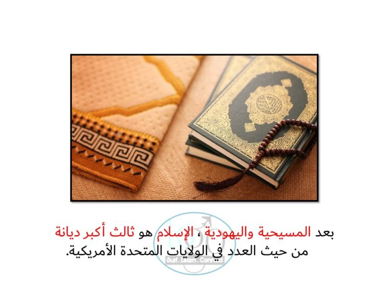Slide64
